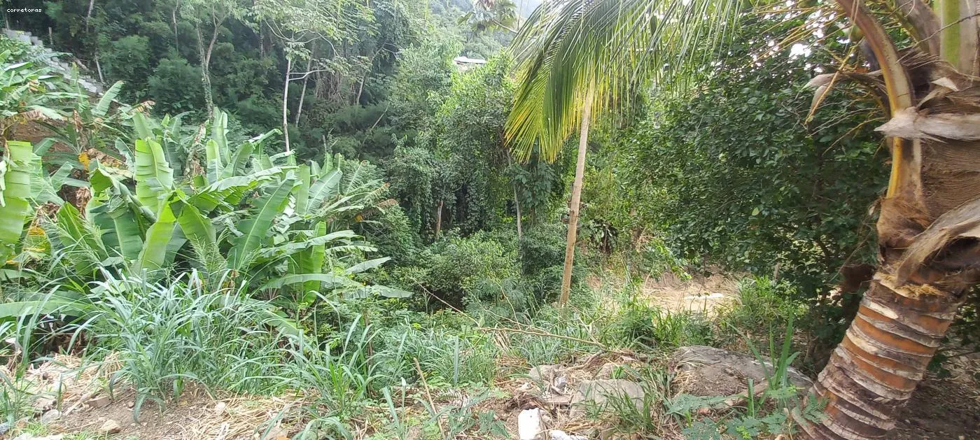 Imagem Terreno para Venda em São Sebastião, São Francisco da Praia
