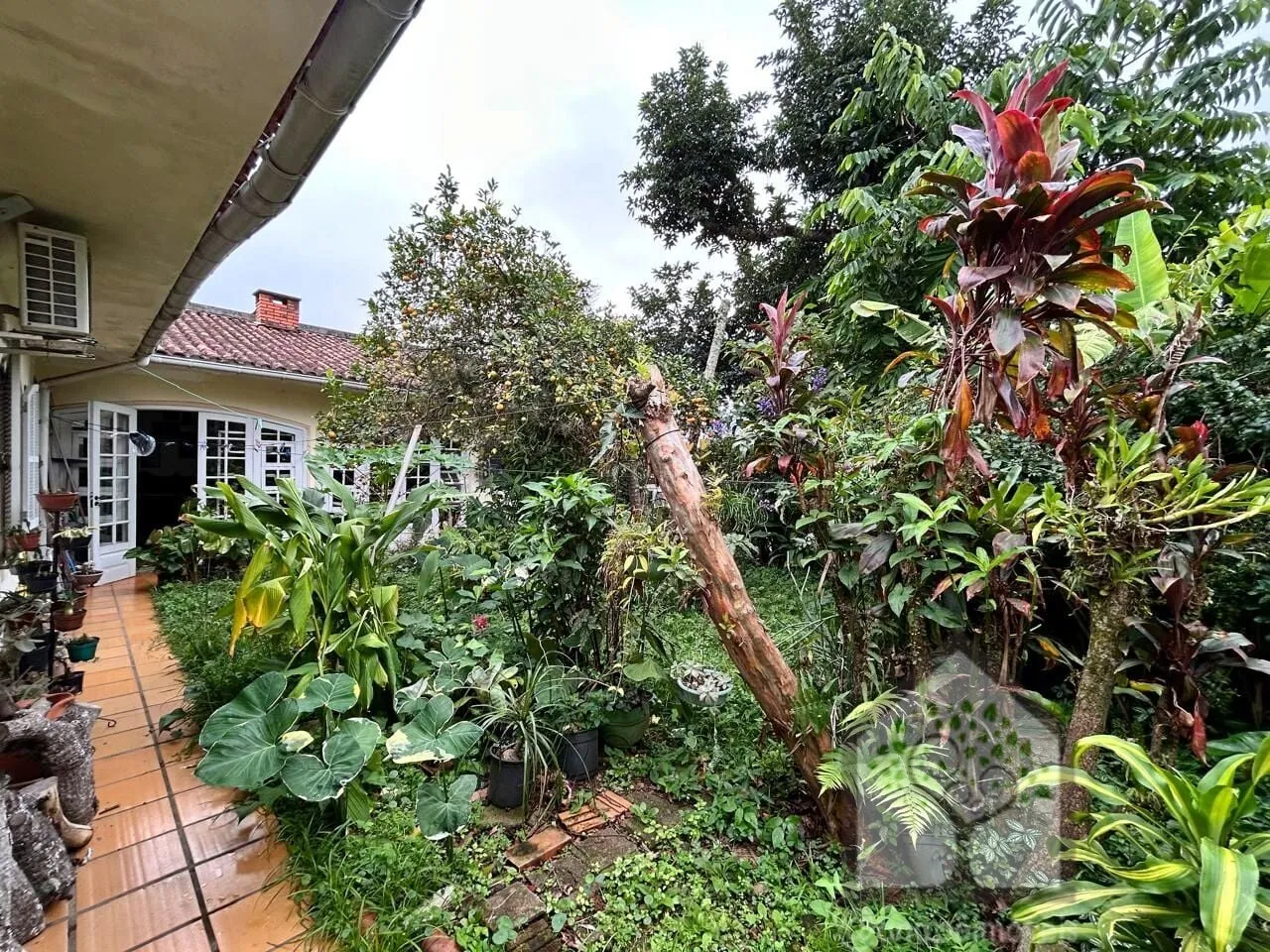 Imagem Casa com Quintal e Pomar Próxima à UFSC - Carvoeira, Florianópolis
