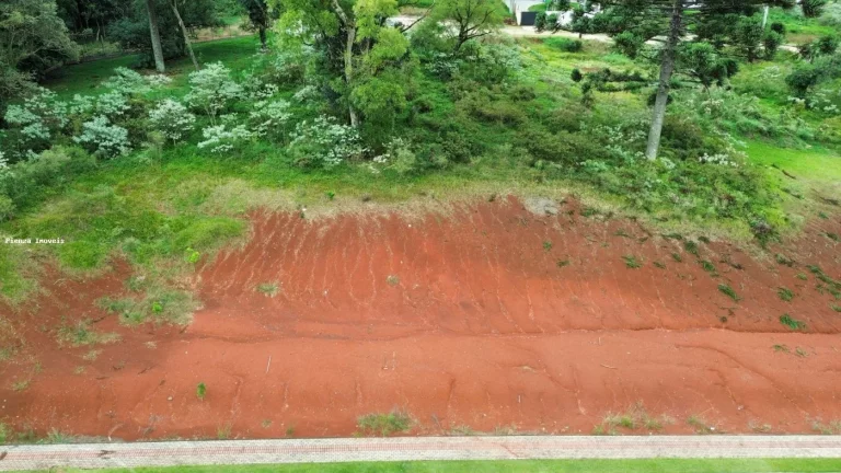 Imagem Terreno para Venda em Chapecó, Água Santa