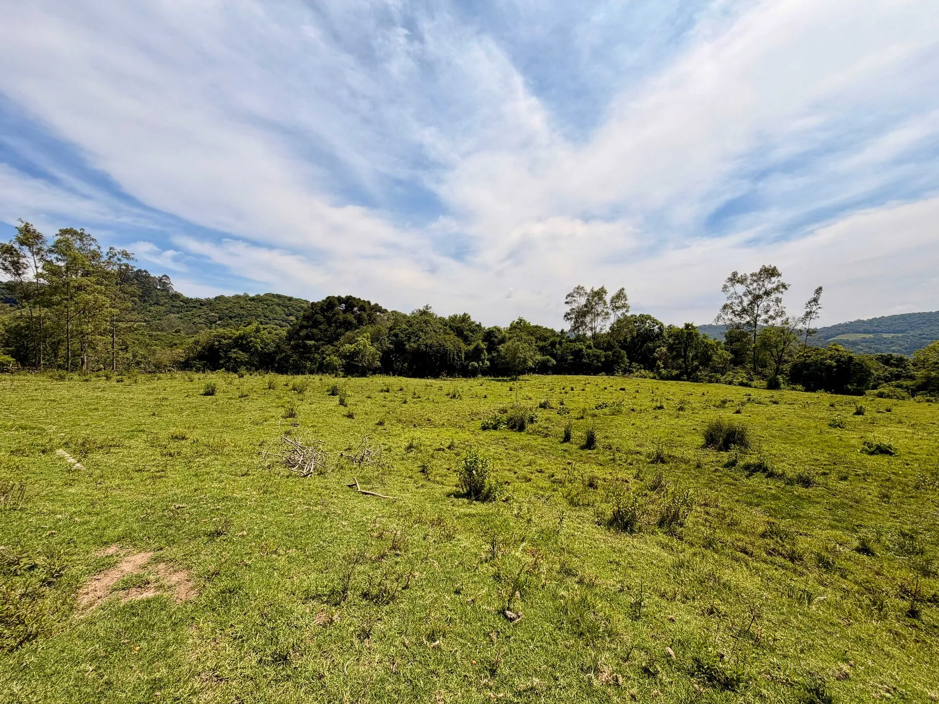 Imagem Chácara à venda em Caxias do Sul, Centro, 20000m2