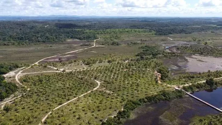 Imagem Glebas Ponta da Folha