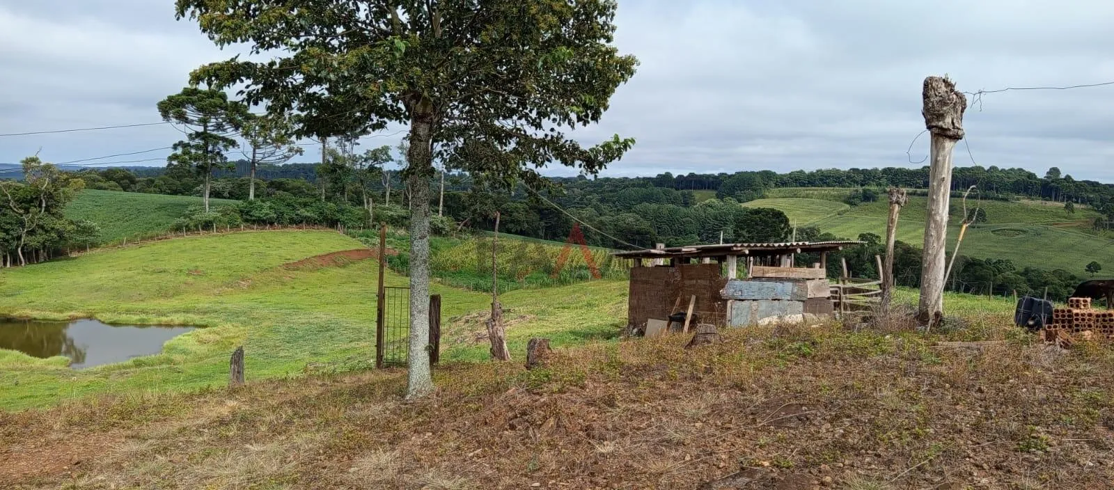 Imagem Chácara com 2.1 alqueires à venda, Guairacá, GUARAPUAVA - PR