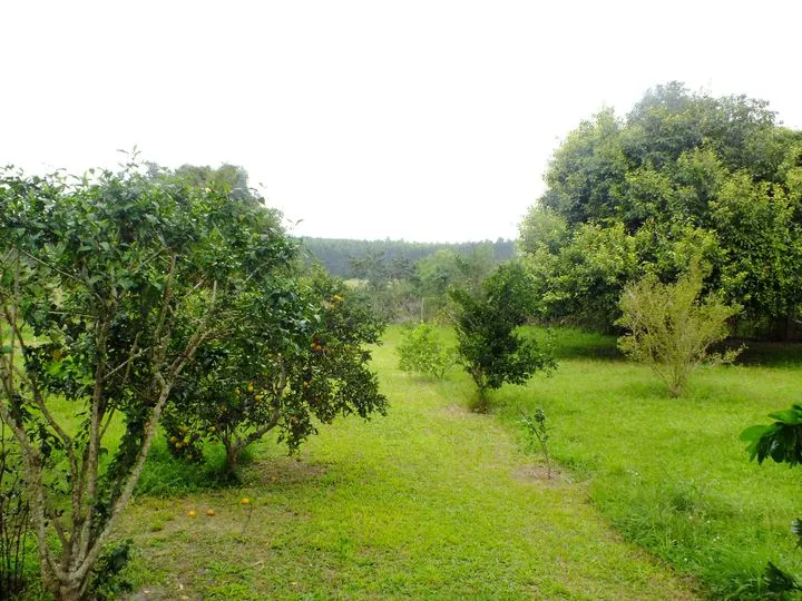 Imagem Chácara com 2 Quartos à Venda, 2.800 m² em Araruama