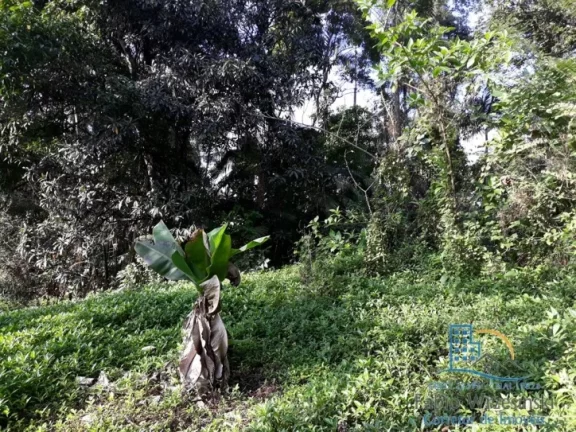 Imagem TERRENO Padrão, para Venda em Joinville/SC