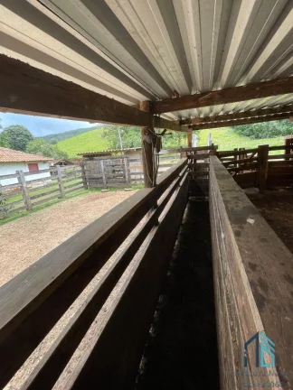 Imagem Fazenda a venda 82 alqueires em Campinacu -Goiania - GO