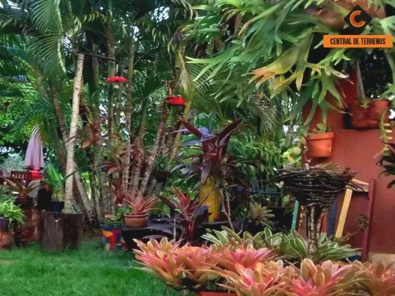 Imagem SITIO EM BARRA DE POJUCA