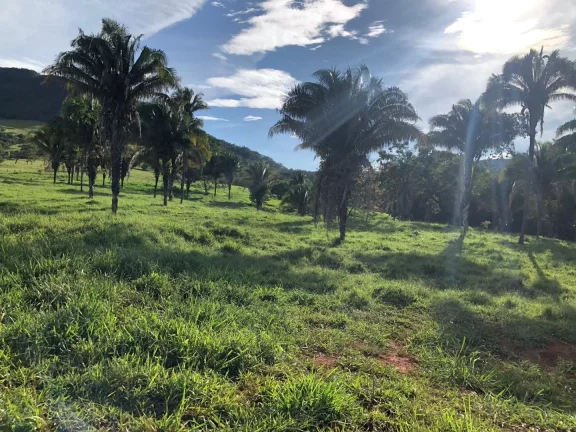 Imagem Fazenda à venda em Cocalzinho de Goiás/GO