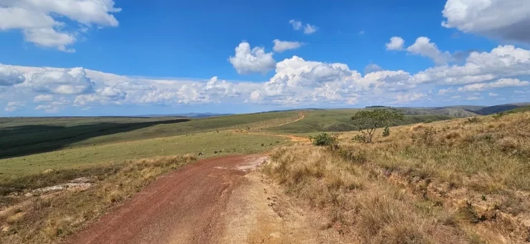Imagem FAZENDA À VENDA EM DELFINÓPOLIS - MG COM 430 ALQUEIRES