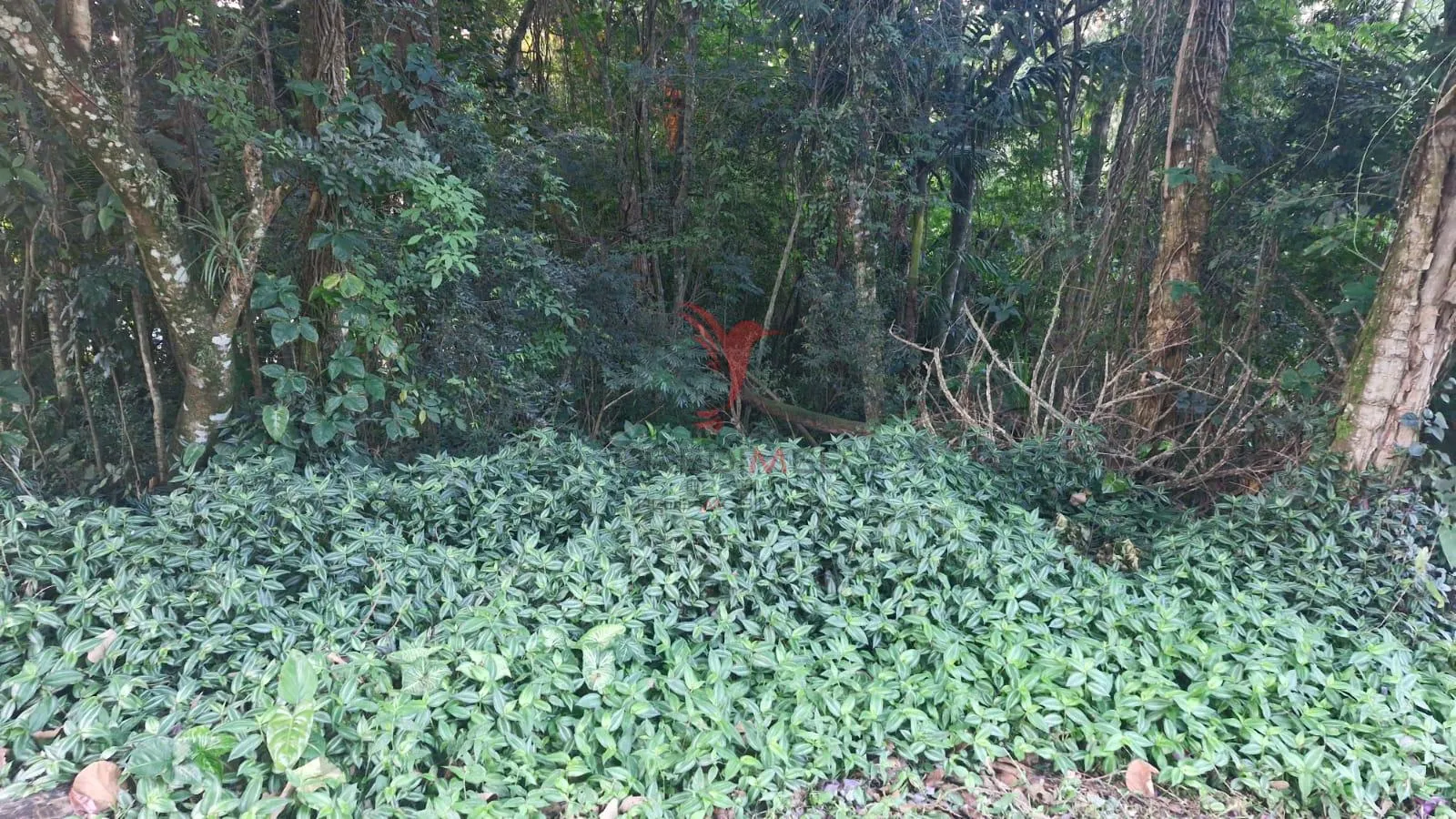 Imagem Terreno plano a venda com 510 metros em Barueri/SP, dentro de con dominio fechado