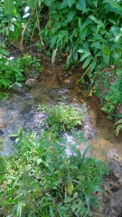 Imagem Terreno à Venda