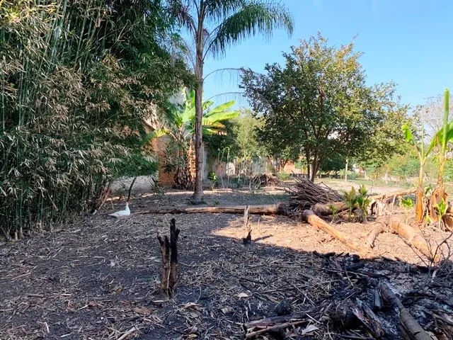 Imagem Terreno à venda 2 Quartos, 1 Vaga, 1860M², Crispim, Pindamonhangaba - SP