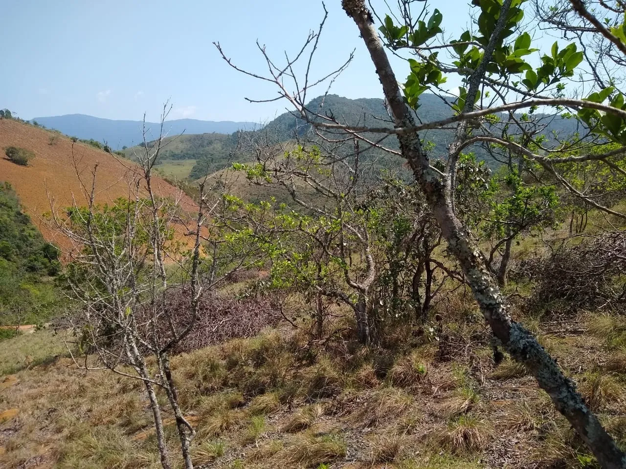 Foto do imóvel Chácara à venda 25000M², Mandú, Pindamonhangaba - SP