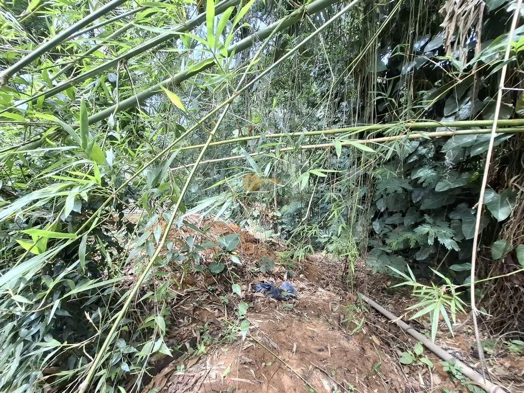 Imagem Terreno em Condomínio para Venda em Teresópolis / RJ no bairro Parque do Imbui
