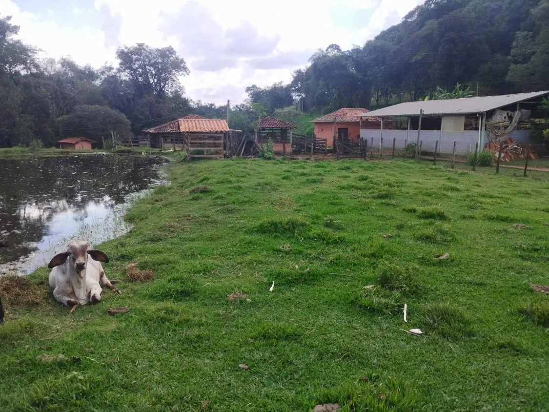 Imagem Excelente sítio a venda em Brumadinho /MG - aproximadamente 6 hectares