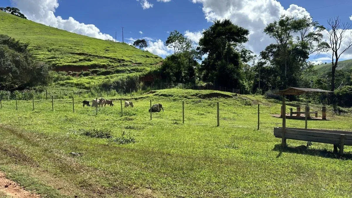 Imagem Imóvel