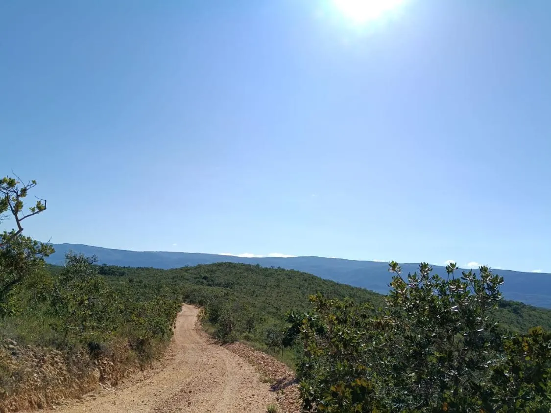 Imagem FAZENDA À VENDA EM SANTANA DO PIRAPAMA ? MG , com 338 hectares de terra
