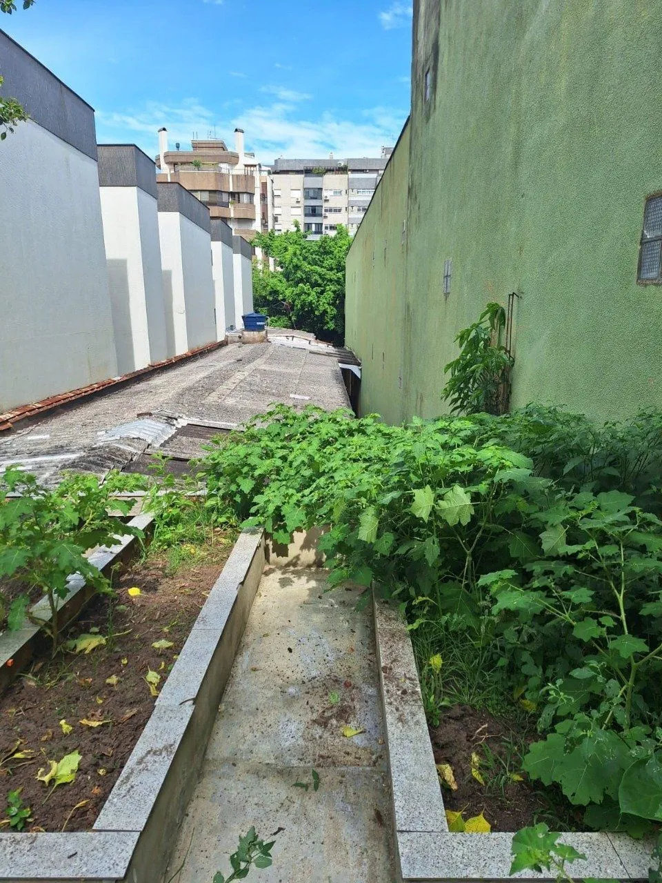 Imagem TERRENO 419M² A VENDA NO BAIRRO PETROPOLIS - POA RS