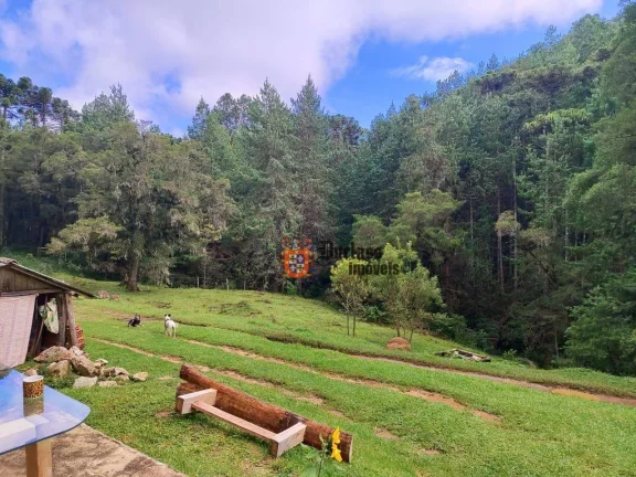Imagem Sítio à venda, 60500 m² por R$ 905.000 - Bom Jardim - Camanducaia/MG