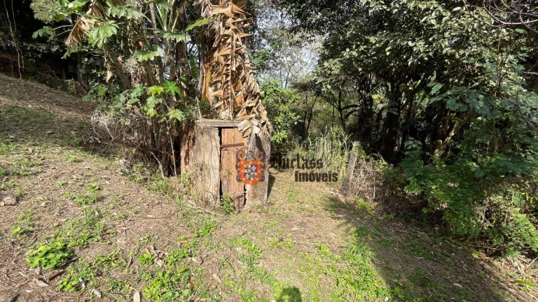 Imagem Chácara com 3 dormitórios à venda, 1600 m² por R$ 480.000 - Jardim Monte Belo - Campinas/SP