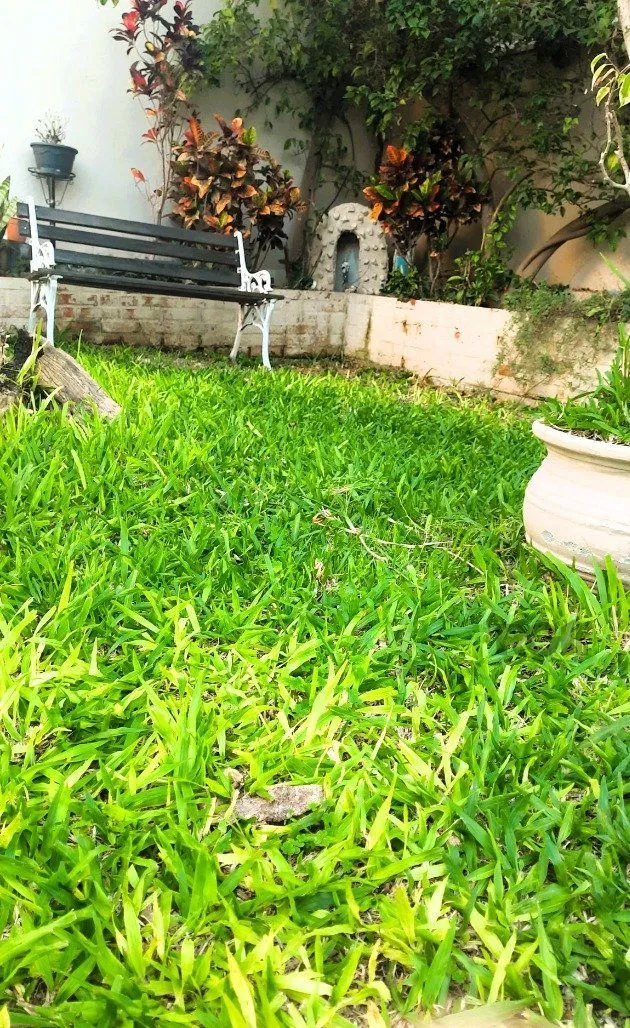 Imagem Casa em Medianeira