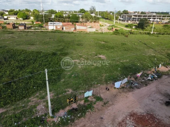 Imagem Área em Jardim - São Gonçalo do Amarante com 17ha