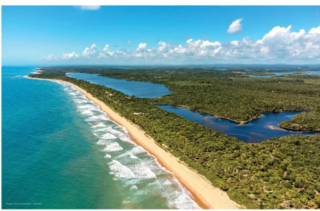 Imagem Alma Aramis