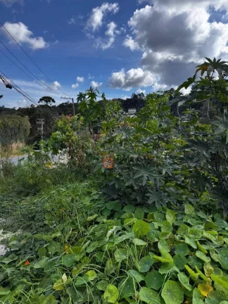 Foto do imóvel Terreno à venda, 850 m² por R$ 800.000 - Alto Do Capivari - Campos do Jordão/SP