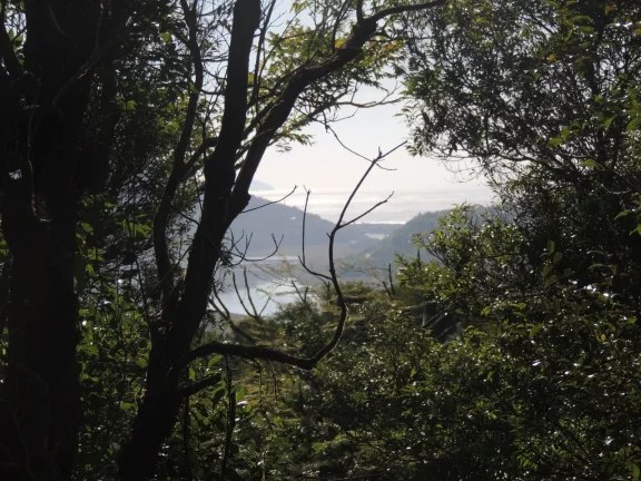 Imagem Terreno Espaçoso em Macacu, Garopaba-SC: 20 mil m², Vista para Lagoa e Mar