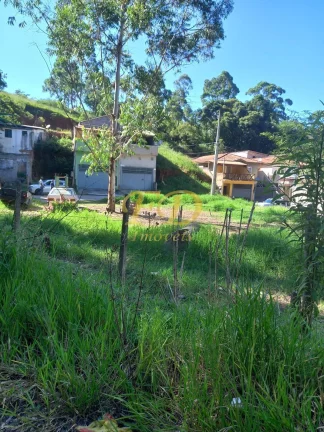 Imagem Terreno em Terra Preta/ Jardim Pereira