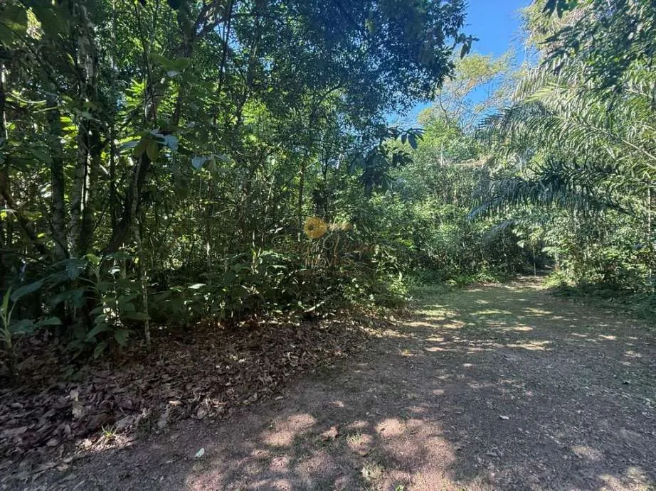 Imagem Sítio para Venda em Guapimirim / RJ no bairro Parque Nossa Senhora da Ajuda