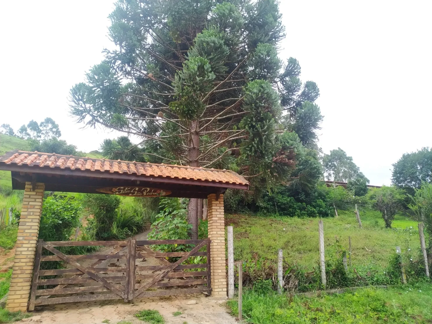 Imagem Chácara à venda 3 Quartos, 1 Suite, 96800M², Zona Rural, São Luiz do Paraitinga - SP