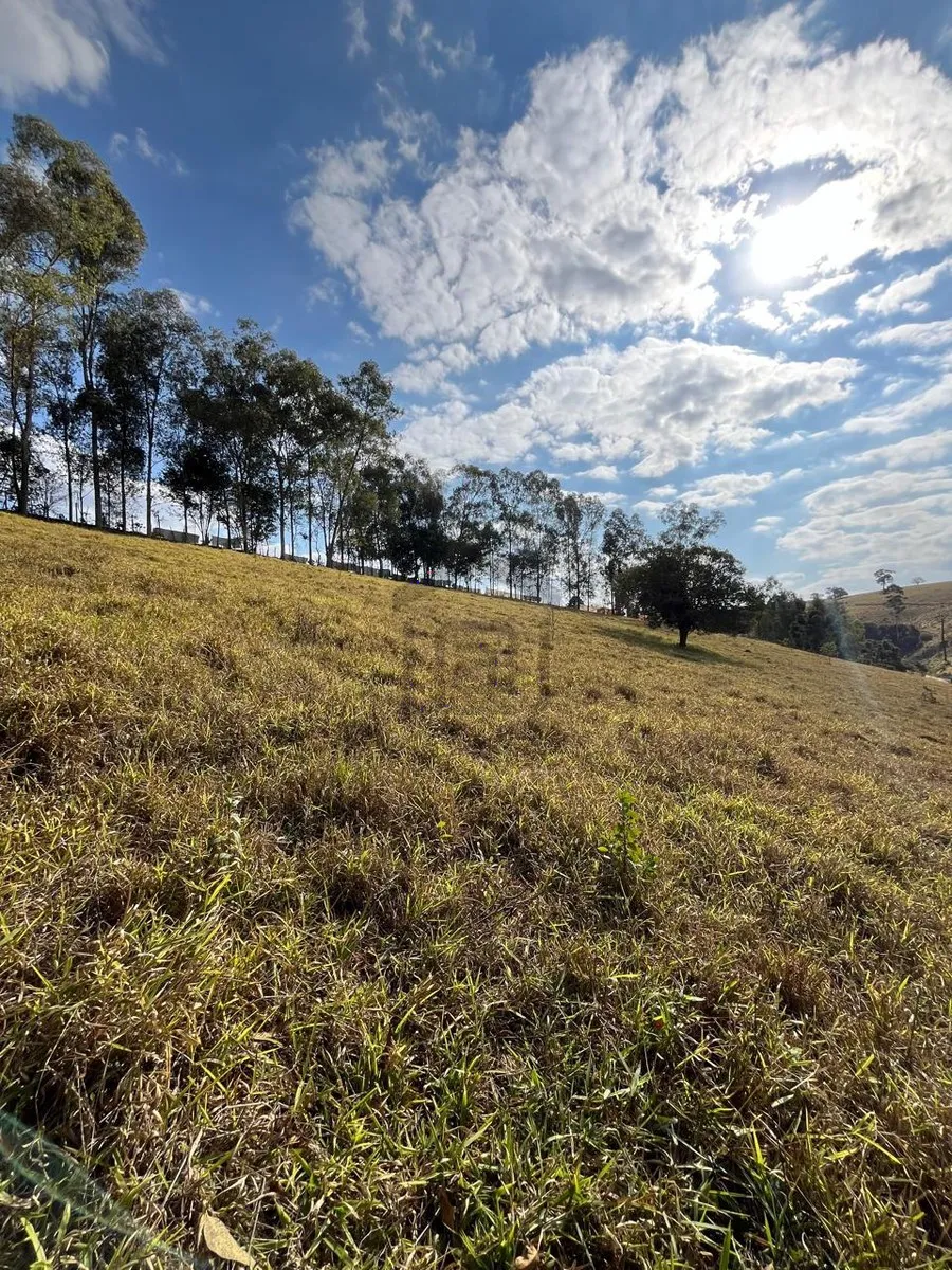 Chácara 24.800 m² à venda em Capituvas, Campestre