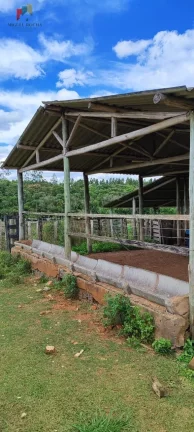 Imagem Fazenda a venda São Miguel Arcanjo SP