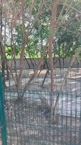 Imagem Apartamento à venda 2 Quartos, 1 Vaga, 42M², Jardim das Bandeiras, Taubaté - SP | Residencial Parque Tenório