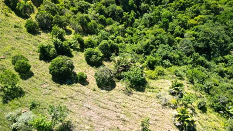 Imagem Oportunidade de Terrenos na serra