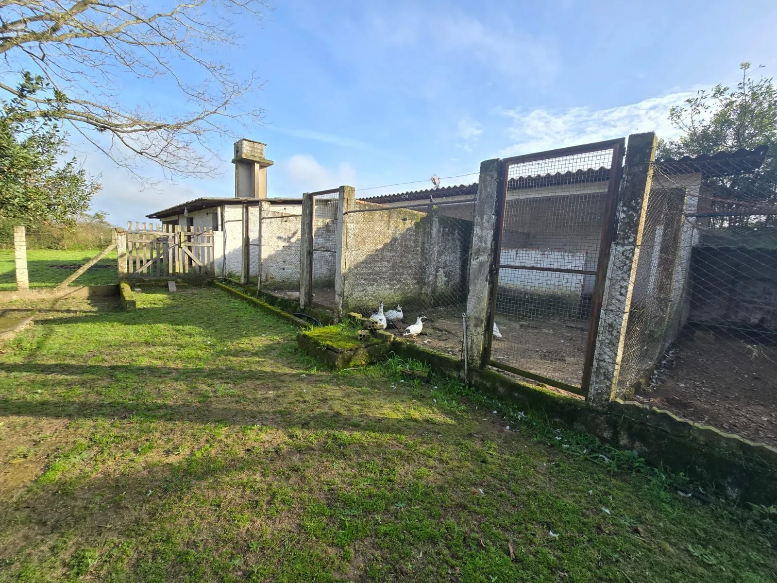 Imagem Sitio na Restinga com 2 casas e ótima oportunidade para investimento
