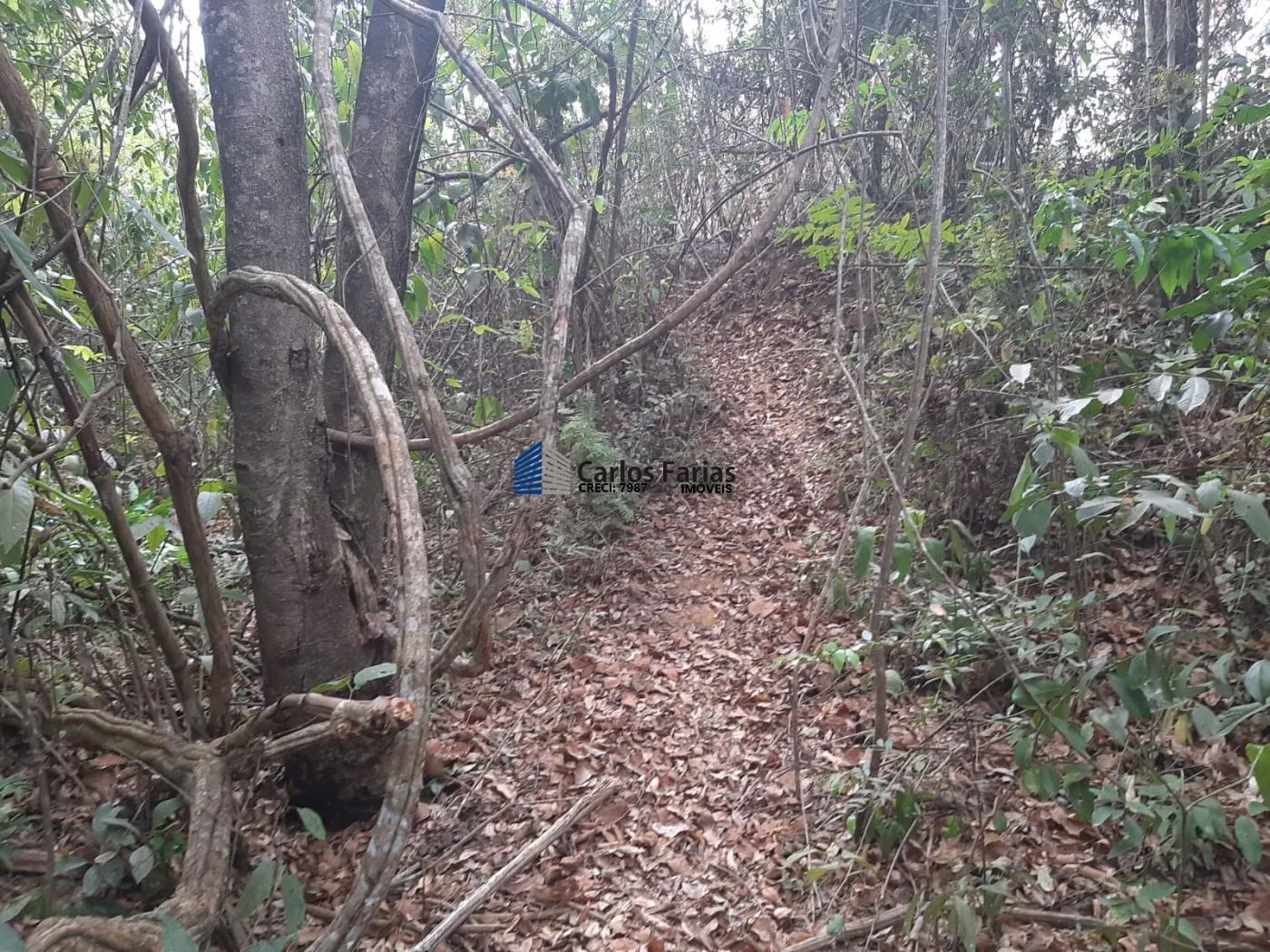 Foto do imóvel: Chácara para Venda em Brasília, Setor Habitacional Jardim Botânico