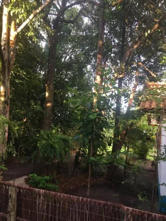 Imagem JACUMÃ