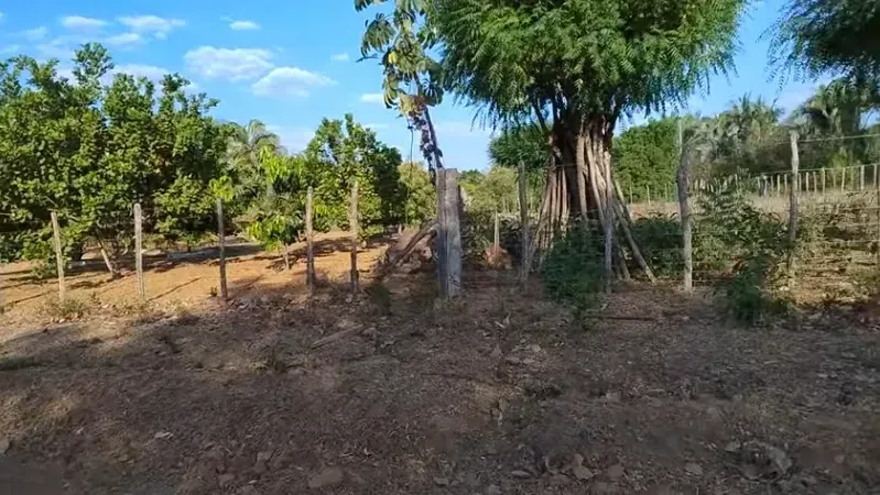 Imagem Terreno à Venda, 1000 m² em Esperantina - Esperantina