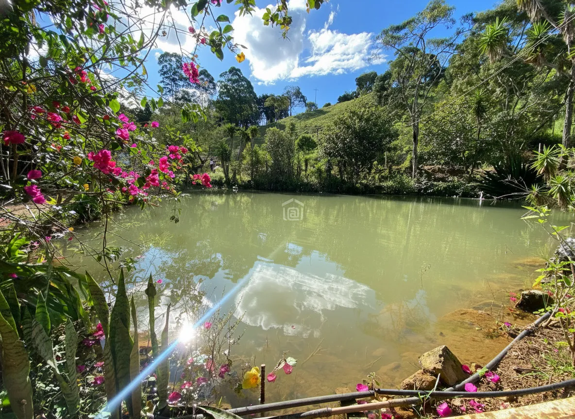 Imagem Chácara 100 m² à venda em Amendoins, Caldas