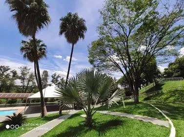 Imagem Vendo um luxo de sítio e área industrial em Betim/MG com 10.290 m²,