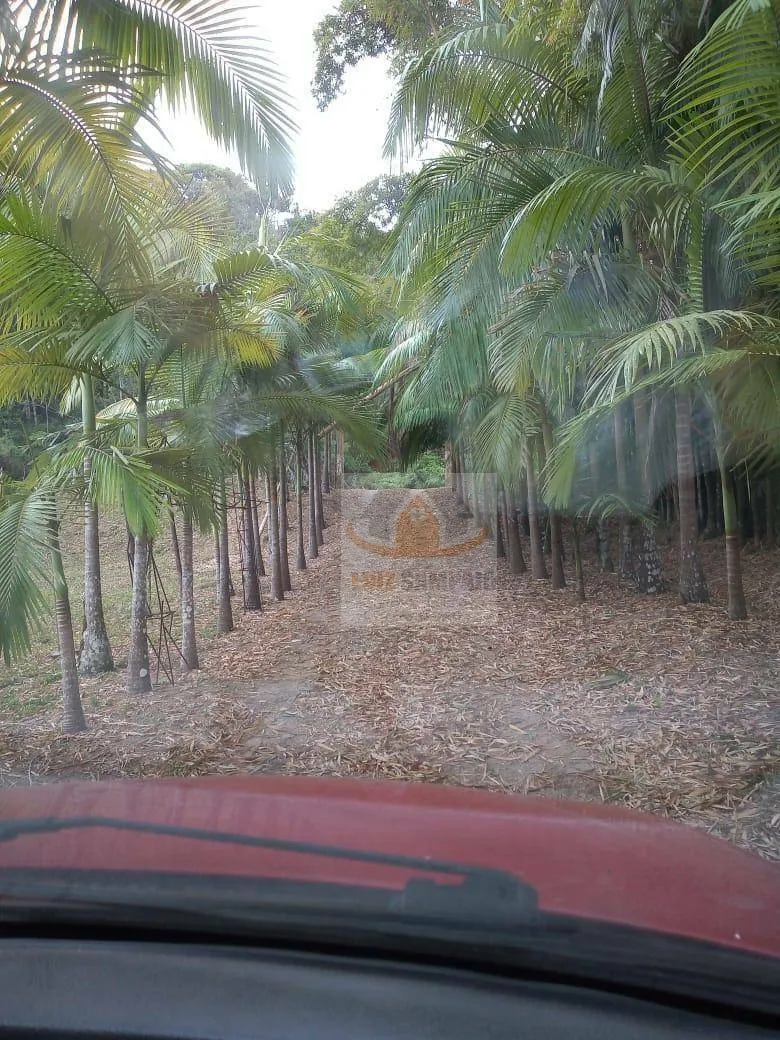 Imagem Sítio à venda, 72000 m² por R$ 400.000,00 - Padre André - Jacupiranga/SP