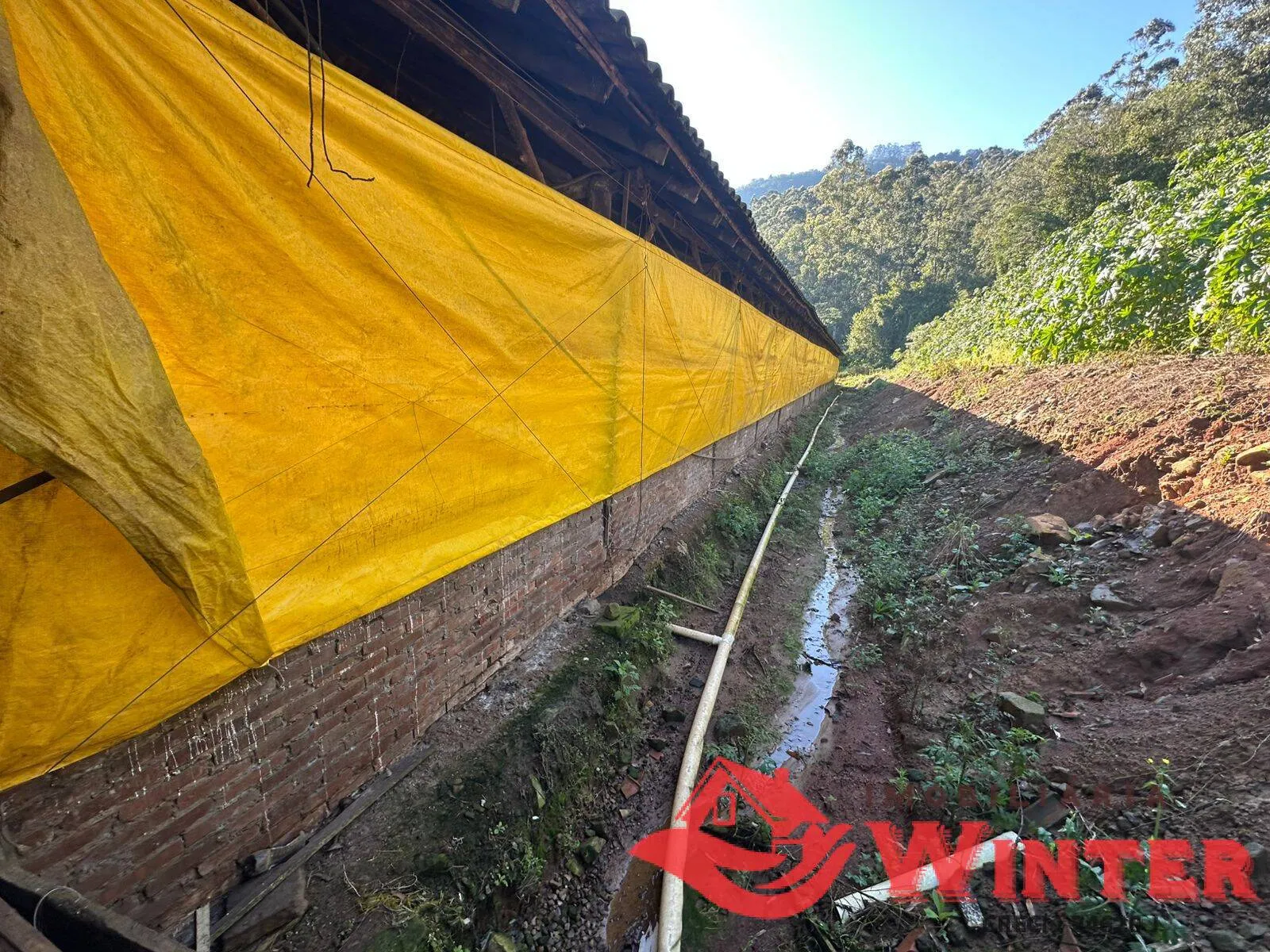 Imagem Área de terras de 2,5 hectares com chiqueiro em Bananal, Feliz.