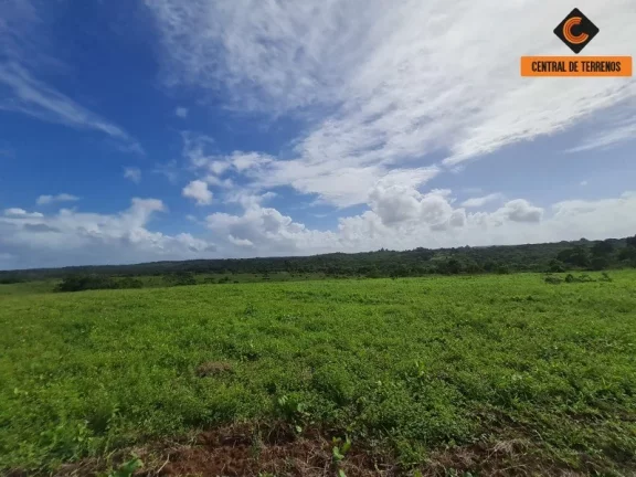 Imagem TERRENO EM BARRA DE POJUCA - LINHA VERDE