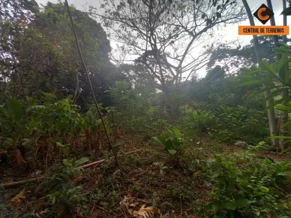 Imagem TERRENO PRÓXIMO AO SALVADOR NORTE SHOPPING