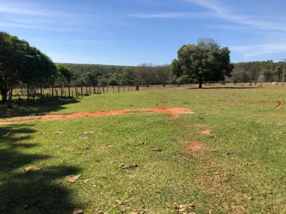 Imagem Sítio a VENDA, Paulistânia/SP