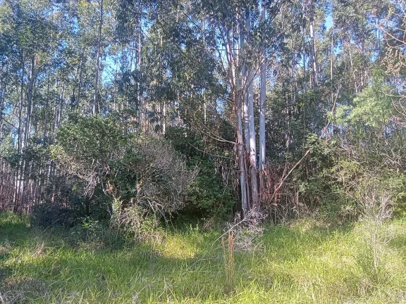 Imagem Excelente Área para Investimento - 29 Hectares, Pimenta, Viamão/RS