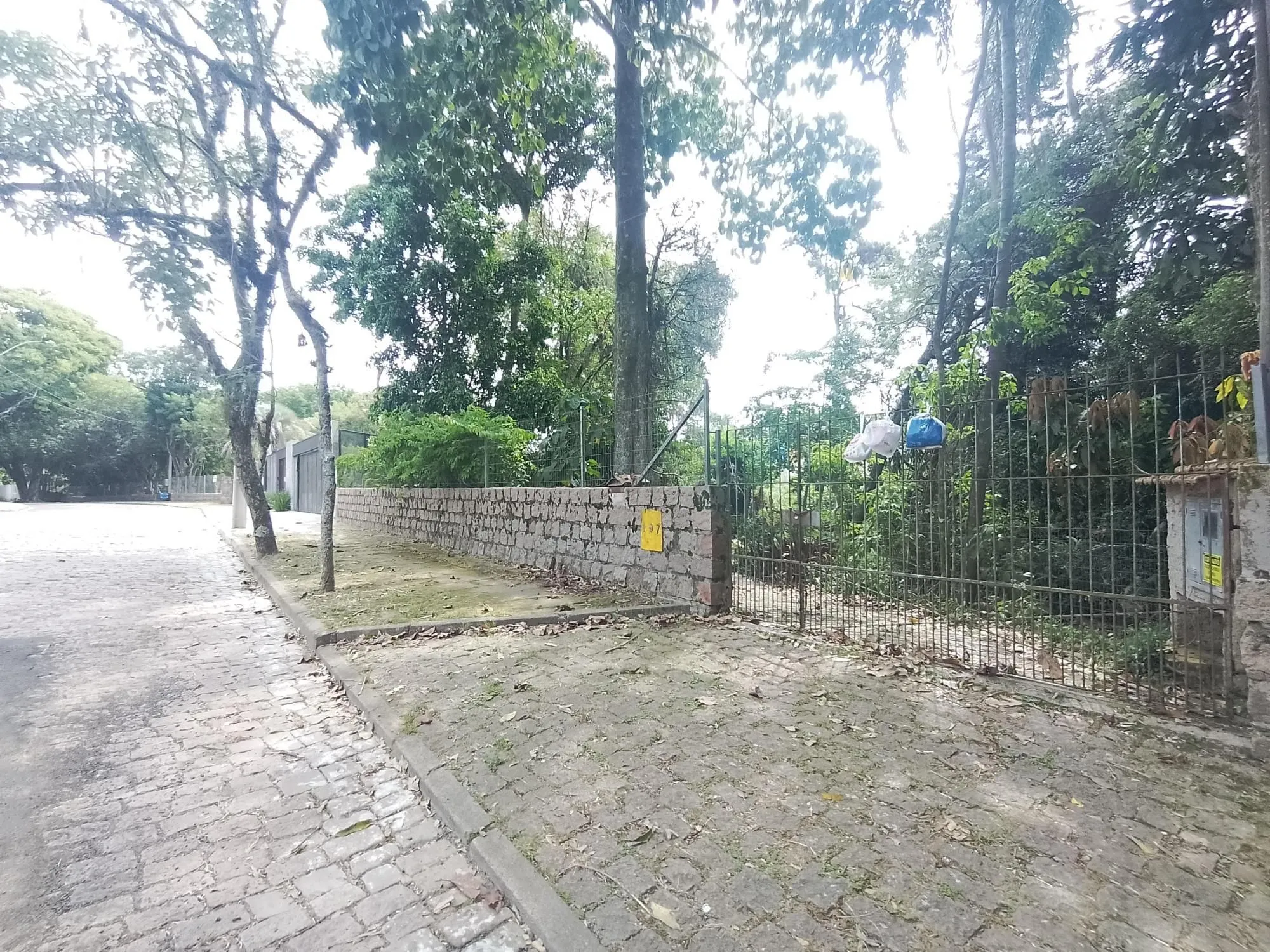 Imagem Terreno com área de 3.600m2 com 43m de margem no Rio Guaíba