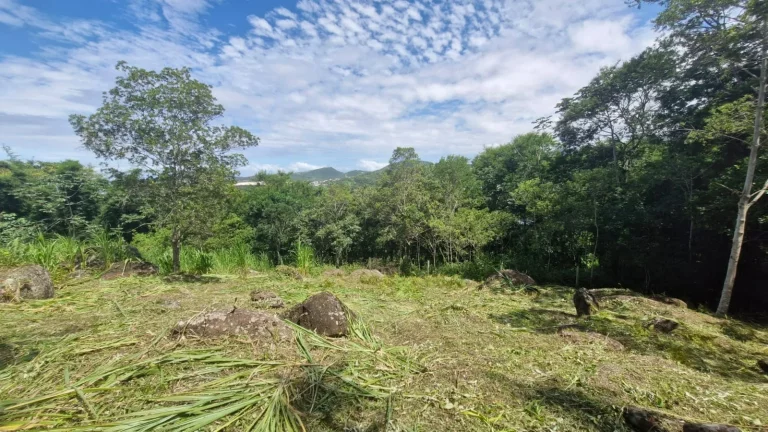 Imagem Terreno à Venda no Bairro Macacu em Garopaba/SC! Oportunidade Única: 1.728,00 m² de Área!