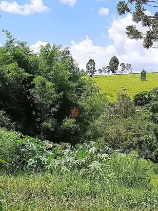 Imagem Chácara com 6 dormitórios à venda, 22400 m² por R$ 732.000,00 - Limas - Pedra Bela/SP